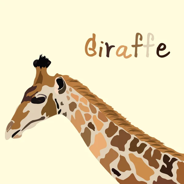 Girafe vecteur de tête — Image vectorielle