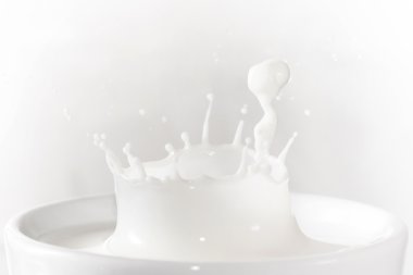 Beyaz splash süt