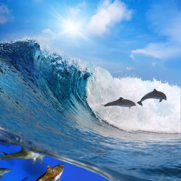 Happy playful dolphins jumping on breaking wave — Stock Photo, Image