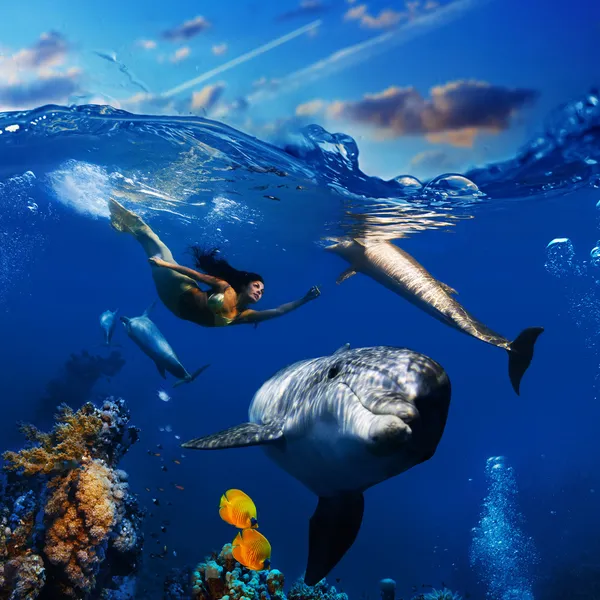 Colorida escena de coral submarino con peces delfines y hermosa —  Fotos de Stock