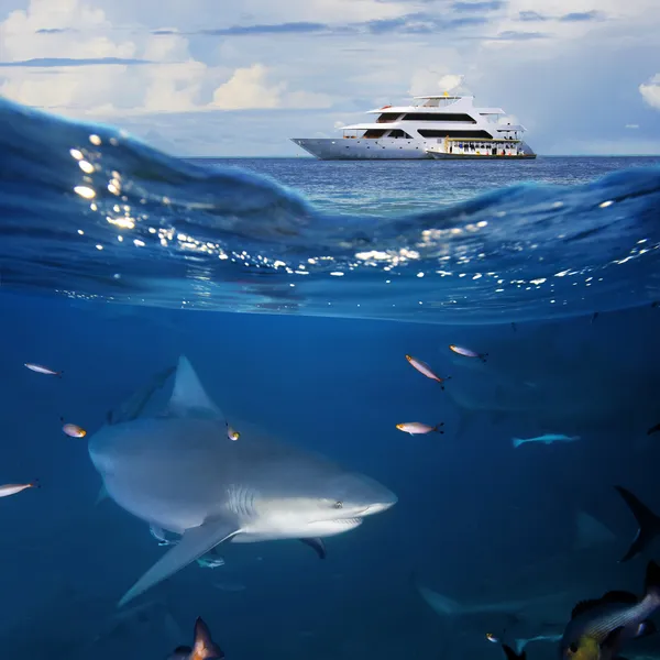 Havet djurliv marinmålning med yacht och haj — Stockfoto