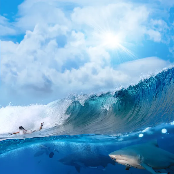 Vue sur l'océan avec soleil surfeur et requins sauvages sous l'eau — Photo