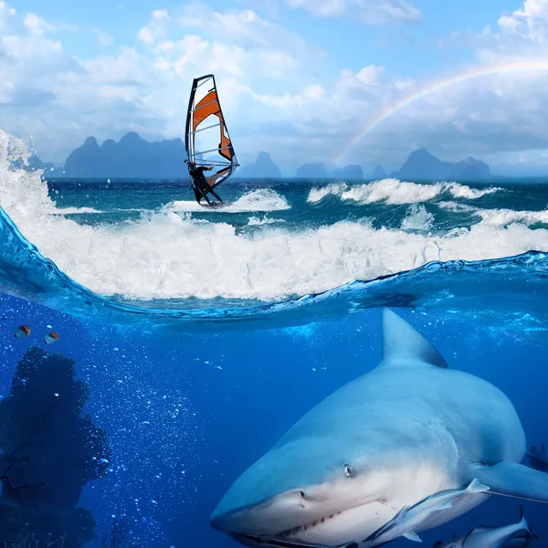 Windsurfista en el arco iris del océano en el cielo y tiburón salvaje bajo el agua —  Fotos de Stock