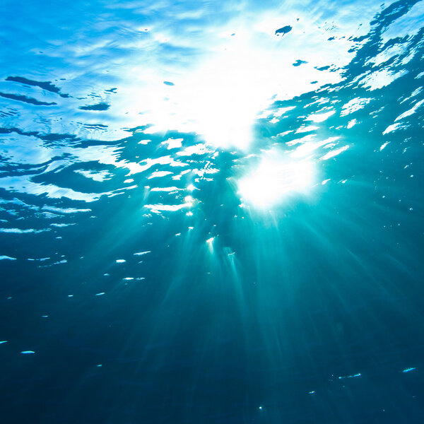 Sunrays breaking through the water surface
