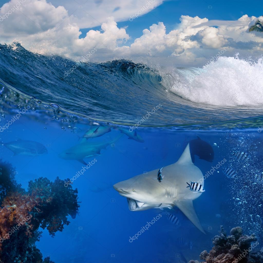 My Image 25