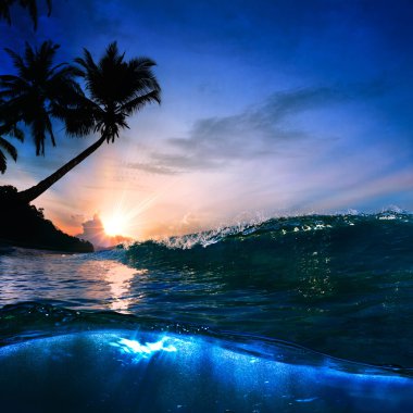 Sarı kum altında günbatımı sıçramasına shorebreak kırma ile güzel tropik palm beach