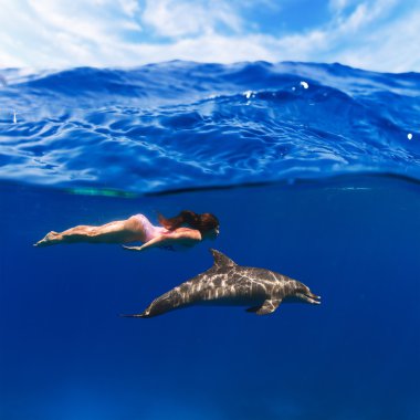 yüzücü kız pembe mayo ve denizde suyun altında oynayan yunus