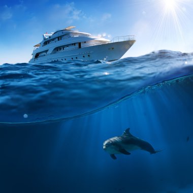 Underwater splitted by waterline postcard template. Bottlenose dolphin swimming under boat