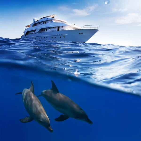 Underwater splitted by waterline template. Two bottlenose dolphins swimming under boat — Stock Photo, Image