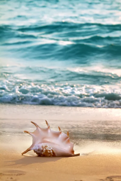 Schöner Strand am Meer — Stockfoto