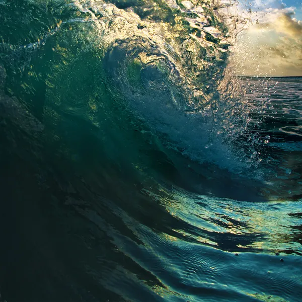 Surfing tropical design template. breaking curled ocean wave — Stock Photo, Image