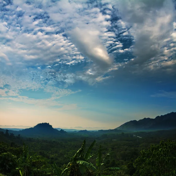 Bela selva nascer do sol tempo com floresta verde e montanhas no horizonte nublado — Fotografia de Stock