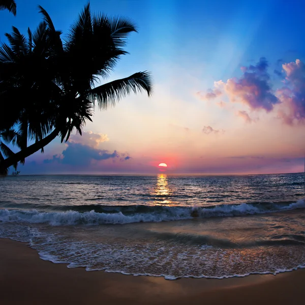 Bela praia tropical com areia amarela quebrando splashing shorebreak sob o pôr do sol — Fotografia de Stock