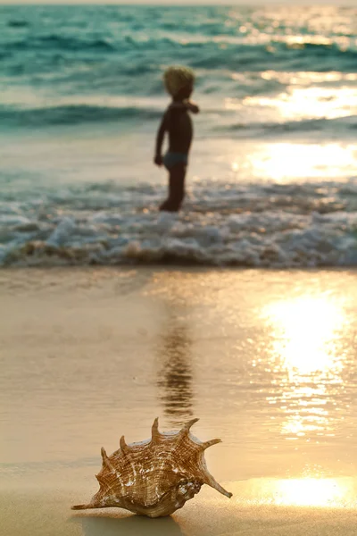 Belle plage au coucher du soleil avec un petit garçon dans la mer et coquillage couché sur du sable humide réfléchi — Photo