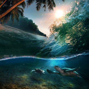 Tropical paradise template with sunlight. clipart