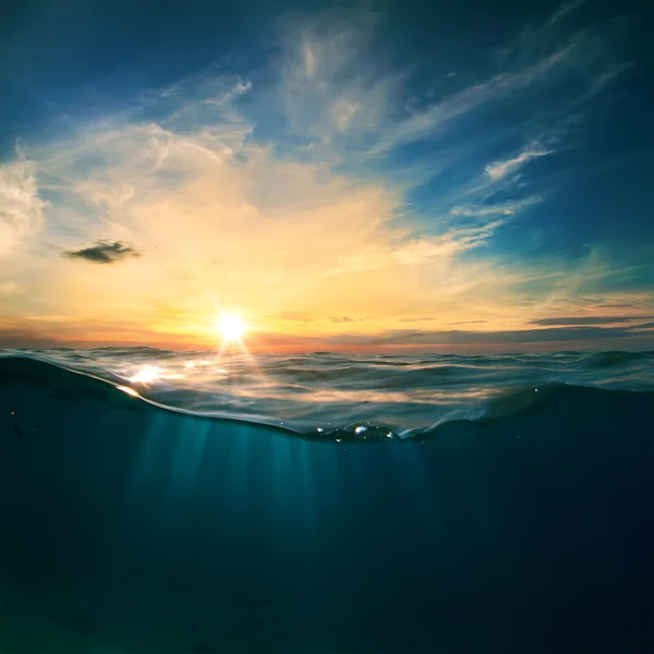 Sous l'eau et le soleil — Photo