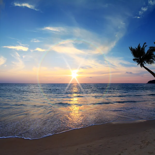 Spiaggia tropicale — Foto Stock