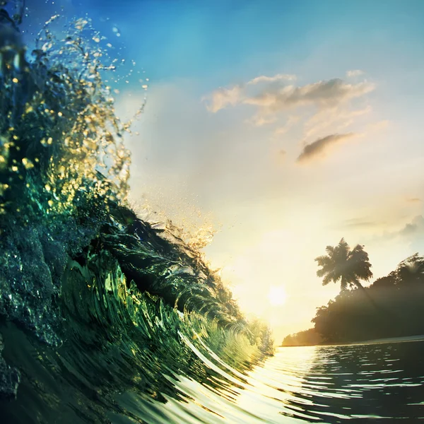 Tropikal palmiye plaj — Stok fotoğraf