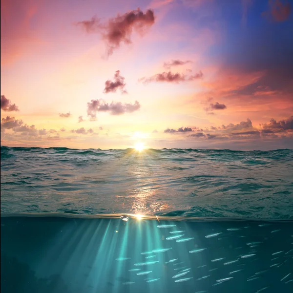 Захід сонця тропічного Карибський басейн — стокове фото