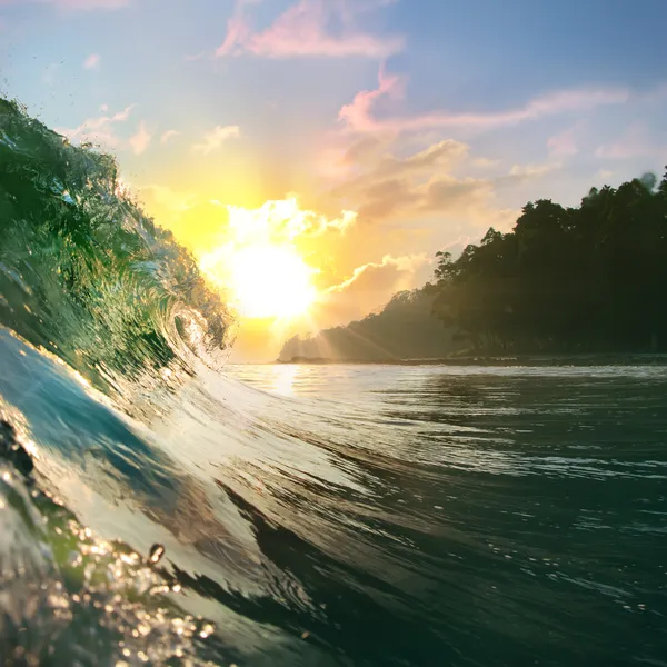 Spiaggia tropicale di palme — Foto Stock