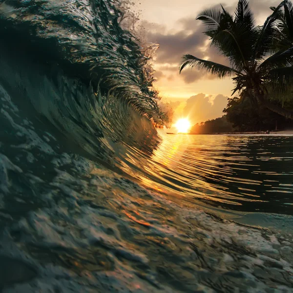 Tropical palm beach — Stock Photo, Image