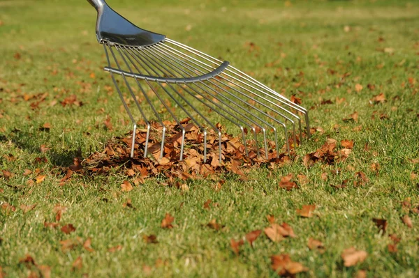 Herfst bladeren en rake — Stockfoto