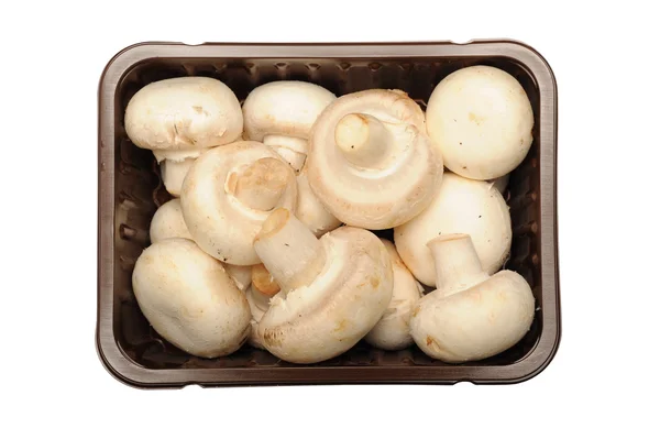 Funghi in cartone — Foto Stock