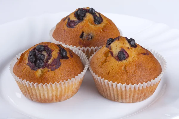 Blueberry cupcakes no fundo branco — Fotografia de Stock