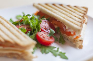 domates ile lezzetli bir sandiwch