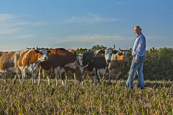 Boer camera kijken en permanent in de buurt van koeien — Stockfoto