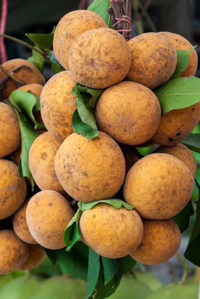 Abricots frais ou prunes sont suspendus sur le marché — Photo