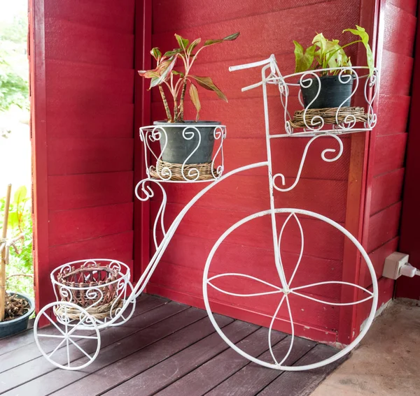 Декоративный металлический велосипед, окрашенный в белый цвет горшками растений — стоковое фото