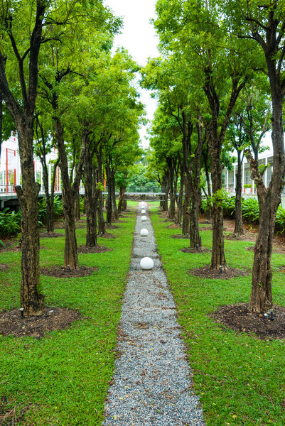 Green garden park along with trees leading line