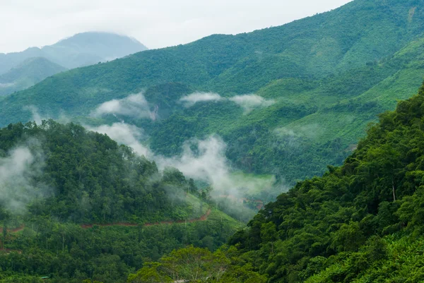 Niebla colinas - montañas niebla paisaje - niebla y montaña —  Fotos de Stock