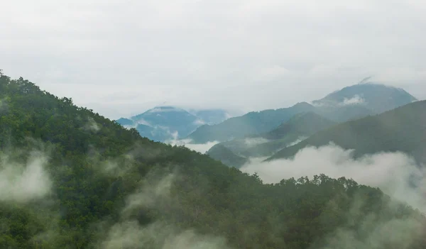 Туманные холмы - горный ландшафтный туман - туман и горы — стоковое фото