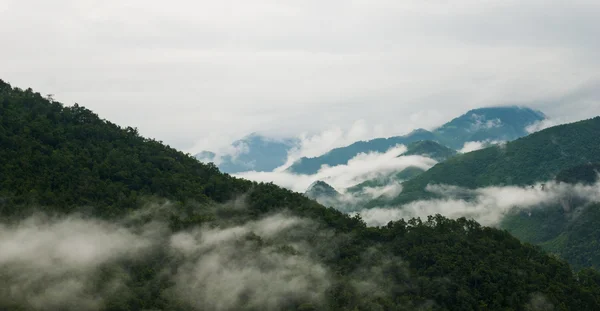 Colline appannate - nebbia montana - nebbia e montagna — Foto Stock