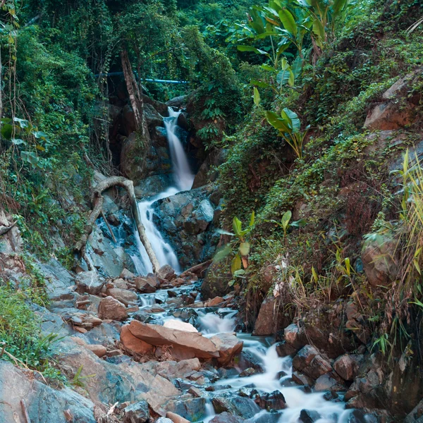 Bonita cascada pequeña en la selva - Composición de la naturaleza — Foto de Stock