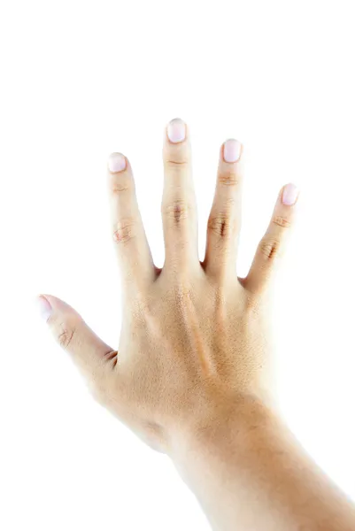 Mano sobre el fondo aislado - sujeción de mano —  Fotos de Stock