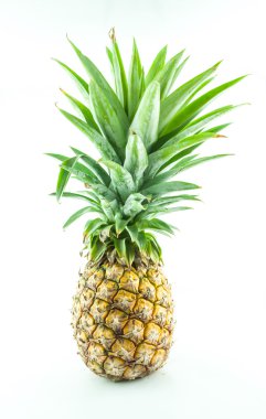 Beyaz arkaplanda ananas