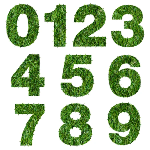 Номера из зеленой травы, изолированные на белом — стоковое фото