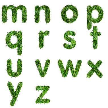 m, n, o, p, q, r, s, t, u, v, w, x, y, z harfleri izole edilmiş yeşil ottan yapılır.
