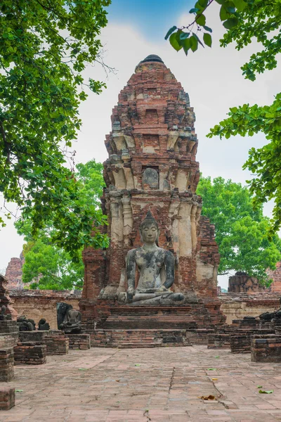 Boeddhabeeld met bladeren voorgrond - ayutthaya, thailand — Stockfoto