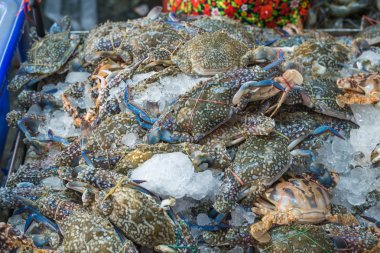 buzda balık pazarında pişmiş taze yengeçler hazır