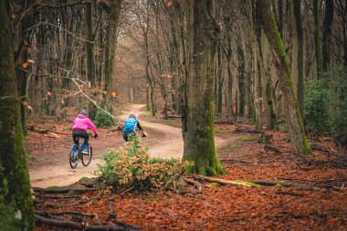 Mountain bikers cycling through the forest at fall season