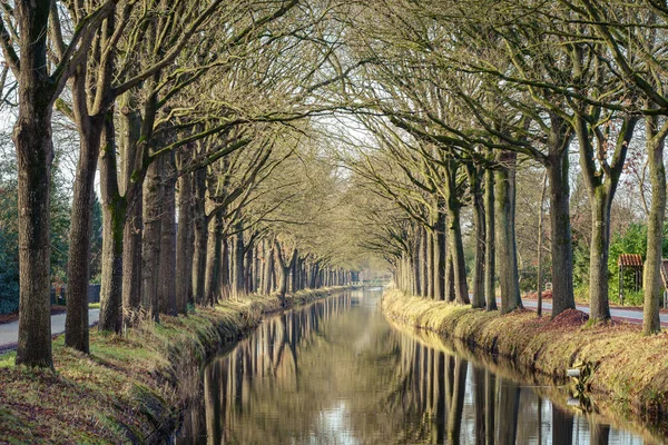 Canal Con Agua Reflectante Ambos Lados Forrado Con Robles Viejos — Foto de Stock