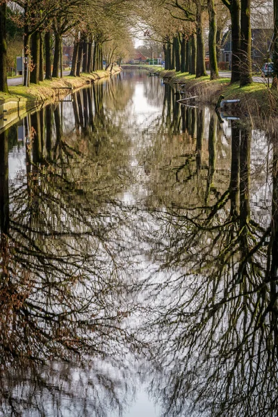 Canal Con Agua Reflectante Ambos Lados Forrado Con Robles Viejos —  Fotos de Stock