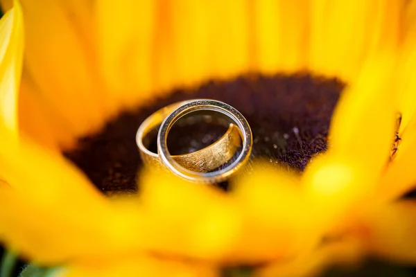 Обручальные Кольца Букете Желтой Невесты Признание Любви Весна Свадебная Открытка — стоковое фото