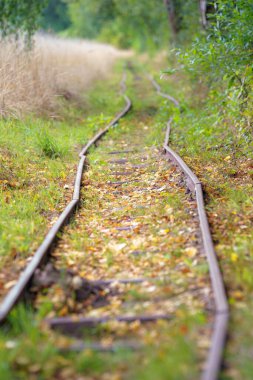 Hollanda Havelte 'deki Alman işgalinin 2. Dünya Savaşı' ndan kalma demiryolu kalıntıları.