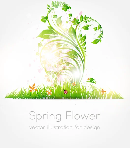 Ilustración veraniega vectorial de adornos florales con flores, hierba y mariquita — Vector de stock
