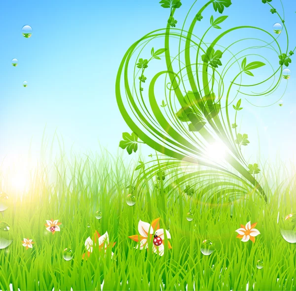 Papier peint d'herbe vecteur d'été avec des fleurs, coccinelle, gouttes et soleil briller — Image vectorielle